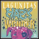 0 Lagunitas Brewing Company - Hazy Wonder (62)